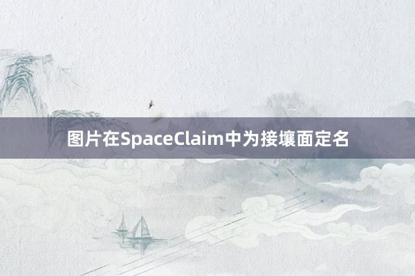 图片在SpaceClaim中为接壤面定名